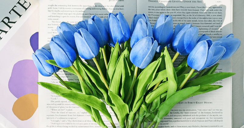Hình Nền Hoa Tulip Đẹp 4K, Full HD cho Điện Thoại & Máy Tính 1 Hình nền hoa tulip