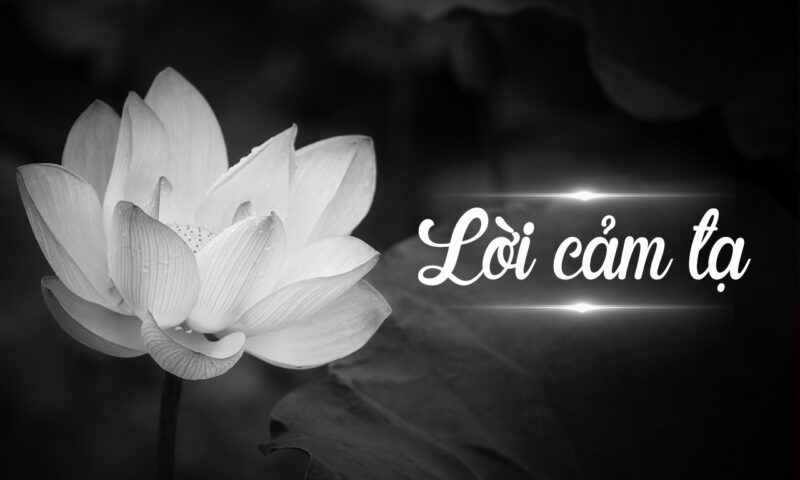 Tải ảnh hoa sen trắng đám tang kèm chữ
