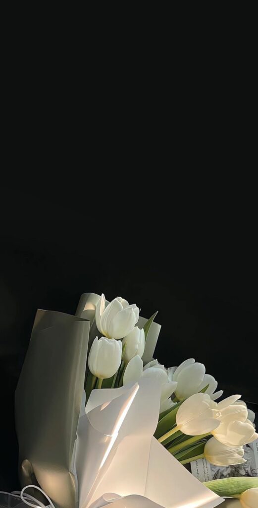 Hình Nền Hoa Tulip Đẹp 4K, Full HD cho Điện Thoại & Máy Tính 5 Hình nền hoa tulip trắng tinh khiết cho điện thoại