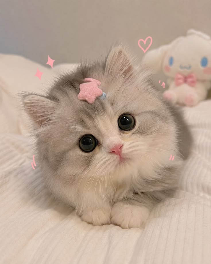 Hình ảnh động vật cute, dễ thương