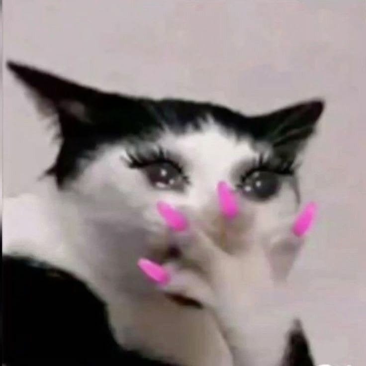 Hình động vật vô tri làm meme
