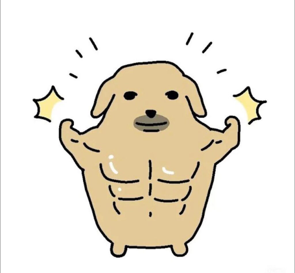 Hình ảnh con chó meme bựa, lầy lội