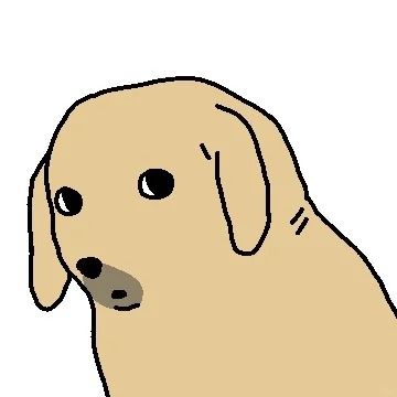 Hình ảnh chó meme vô tri, xem là bật cười