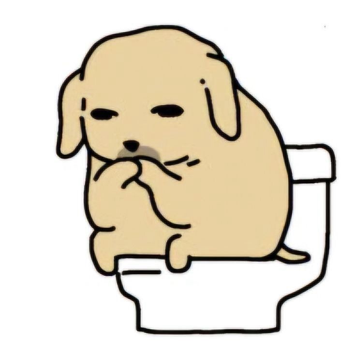 Meme ảnh chó hài, vô tri