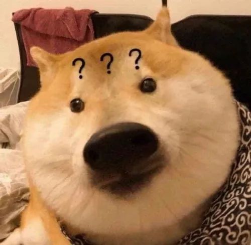 Hình ảnh meme chó vô tri, dễ thương