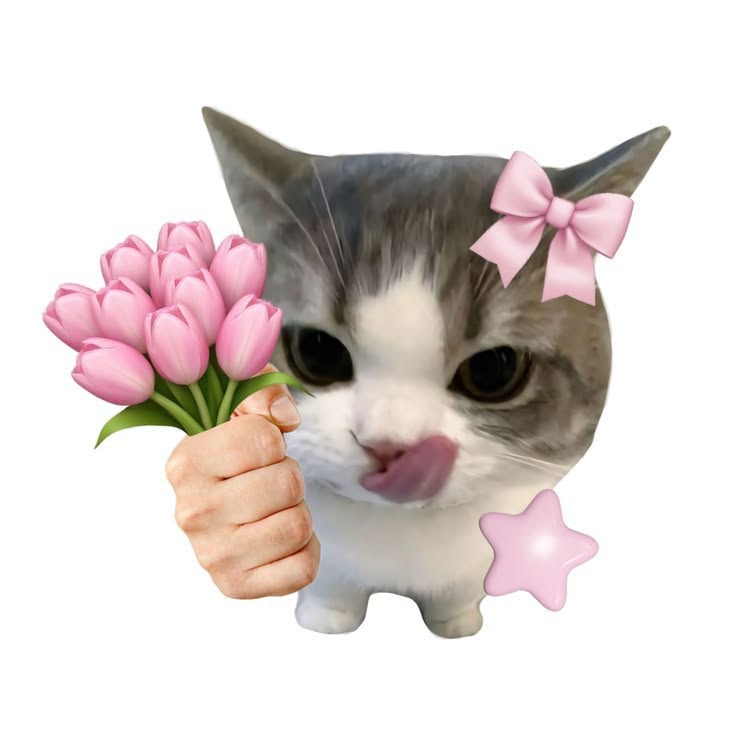 Ảnh meme cute mèo vô tri, hài hước