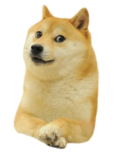 Hình ảnh chó Shiba meme