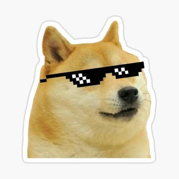hình ảnh chó meme Shiba hài hước