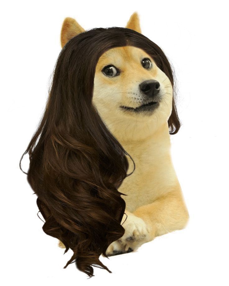 Ảnh chó meme Shiba vô tri, hài hước