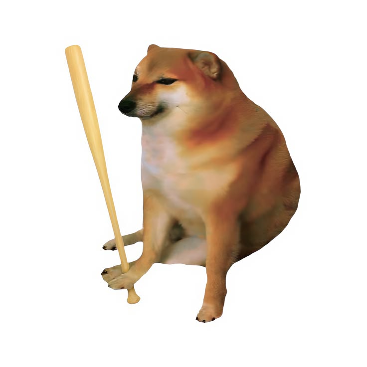 Ảnh chó meme Shiba bựa, hài hước