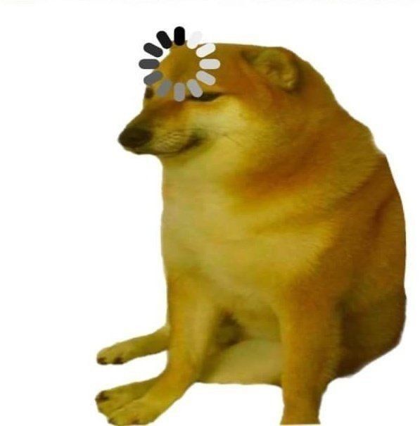 Meme ảnh chó Shiba hài hước, vô tri