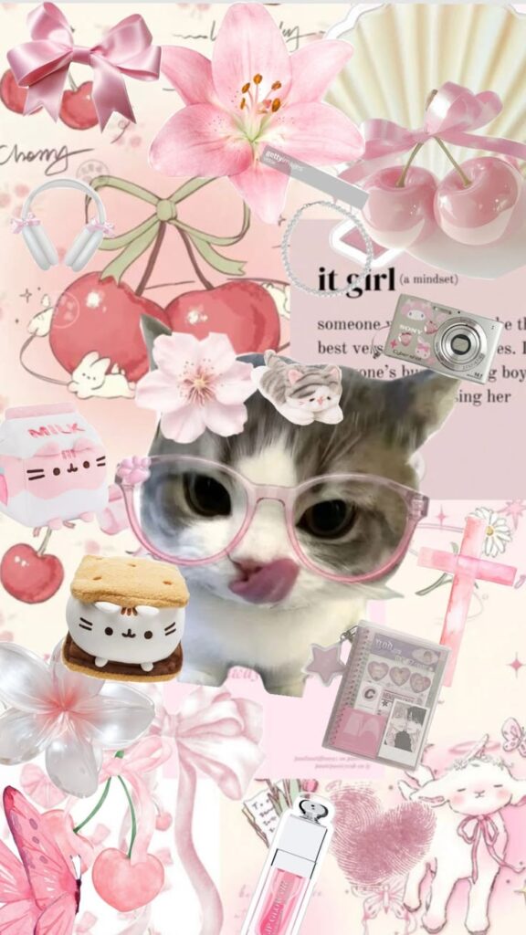 999+ Ảnh Mèo Cute, Hình Mèo Dễ Thương, Vô Tri Đẹp Nhất 4 Hình mèo cute làm hình nền điện thoại