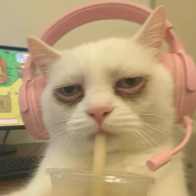 999+ Ảnh Meme Mèo Vô Tri Cute, Hài Hước Làm Avatar 10 Ảnh meme avatar vô tri mèo buồn ngủ