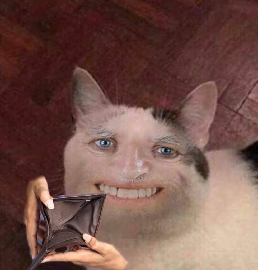 999+ Ảnh Meme Mèo Vô Tri Cute, Hài Hước Làm Avatar 6 Ảnh meme mèo vô tri hài hước, lầy lội